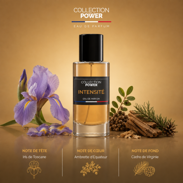 INTENSITÉ Collection Power – Pyramide olfactive fond doré